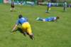 dsc_1154_small.jpg