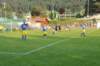 dsc_0124_small.jpg